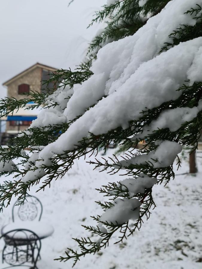 La Pommeraie D'Ifrane Ifrane  Buitenkant foto