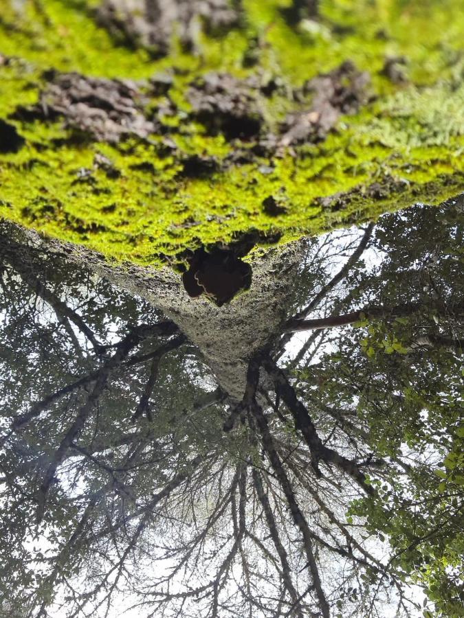 La Pommeraie D'Ifrane Ifrane  Buitenkant foto
