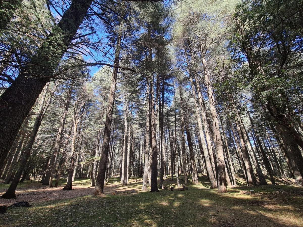 La Pommeraie D'Ifrane Ifrane  Buitenkant foto