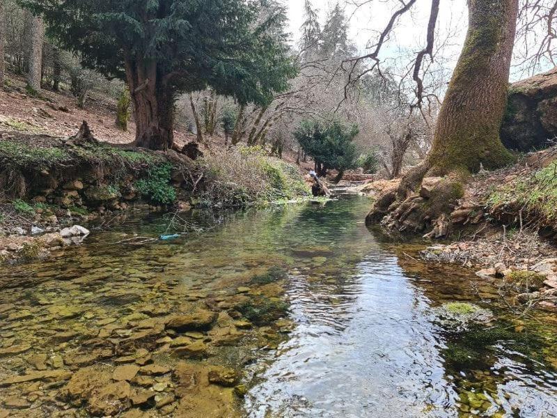 La Pommeraie D'Ifrane Ifrane  Buitenkant foto