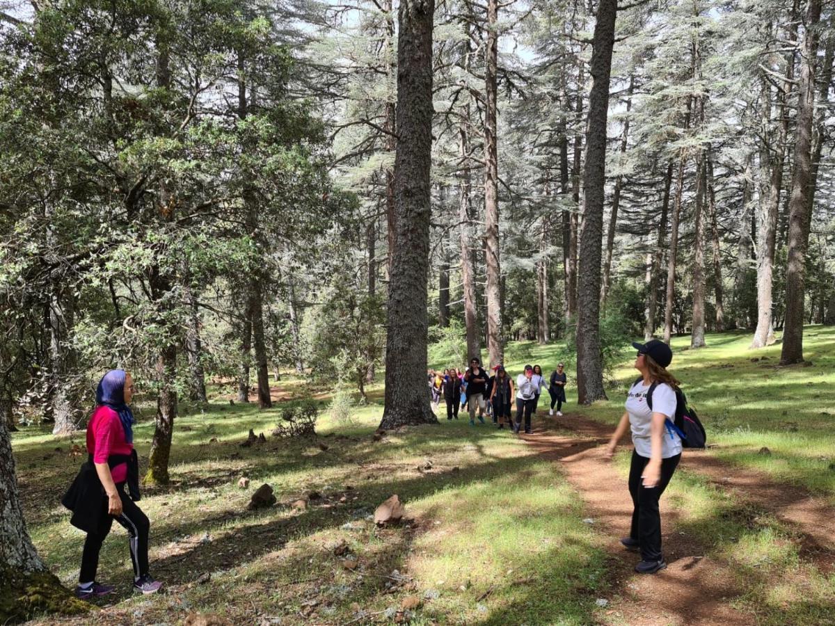 La Pommeraie D'Ifrane Ifrane  Buitenkant foto