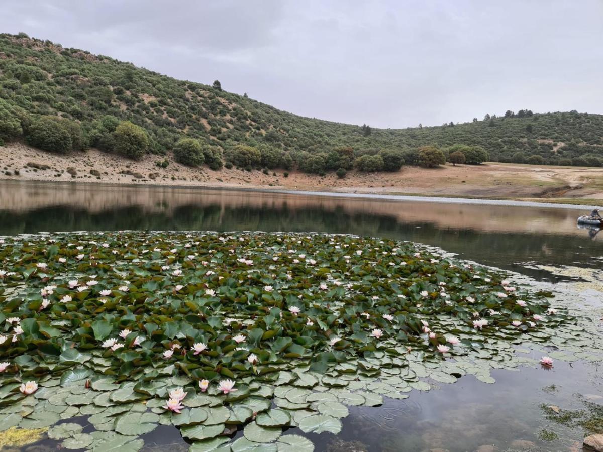 La Pommeraie D'Ifrane Ifrane  Buitenkant foto